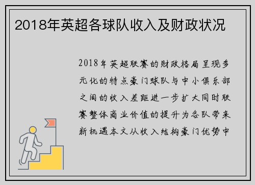 2018年英超各球队收入及财政状况